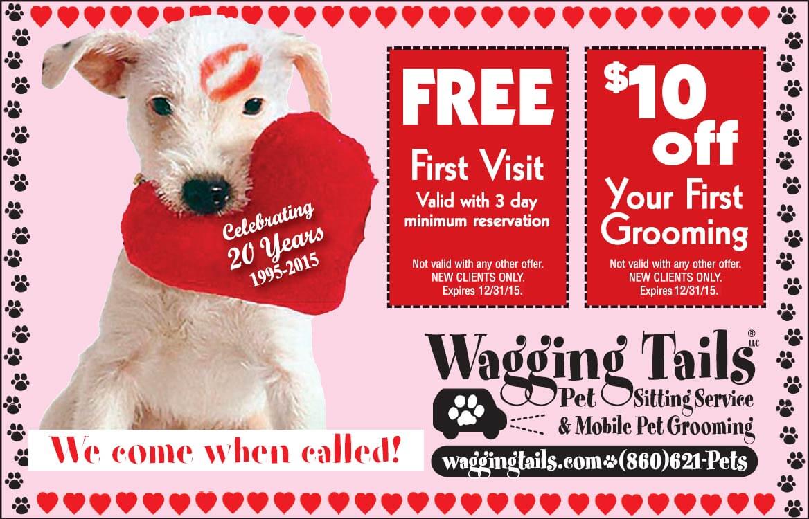 pet-valentine's day