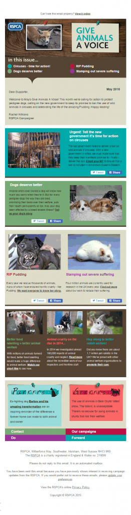 Give-animals-a-voice_non profit email marketing