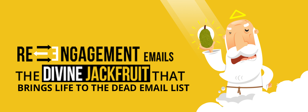 re-engagement email campaign resources - divine infographic emailmonks