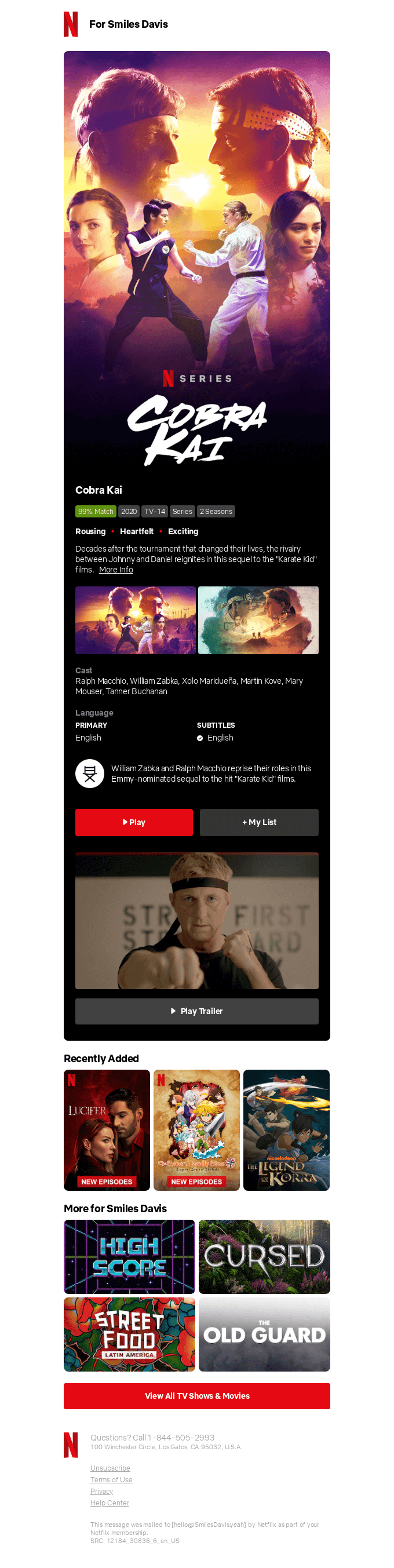 netflix example email