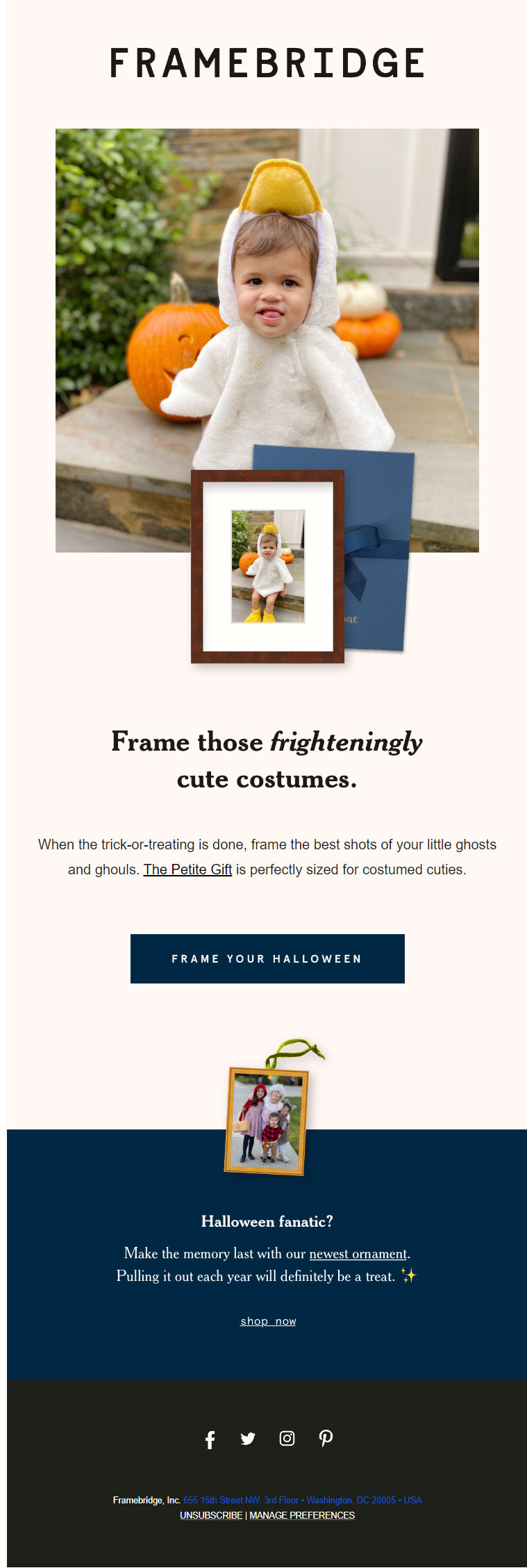 Framebridge- Halloween email