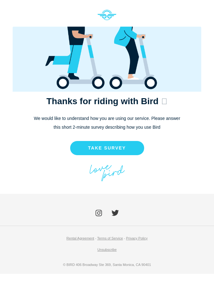 feedback email by Bird 