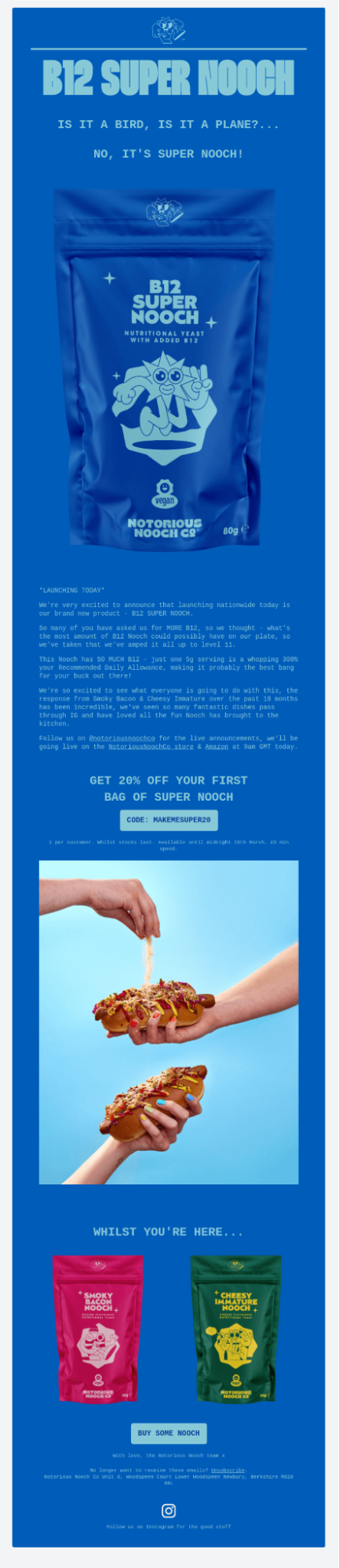 Monochromatic Color Scheme email