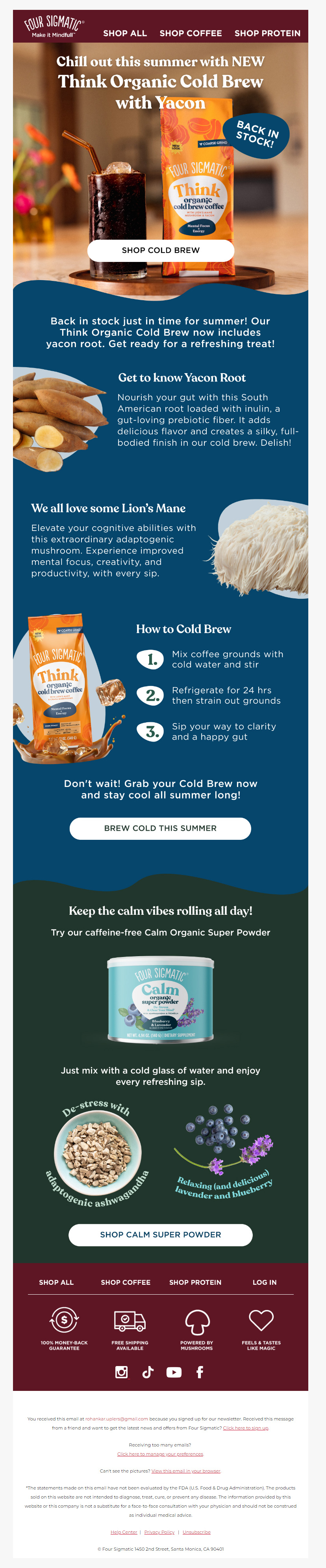Four Sigmatic Summer Email Inspiration