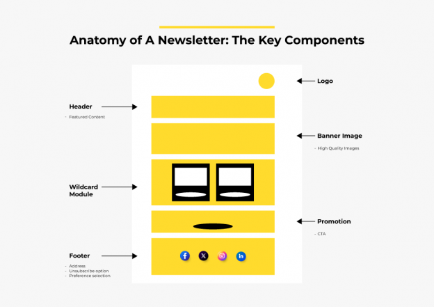 Anatomy of a Newsletter: Expert Insights on Crafting Engaging Email ...